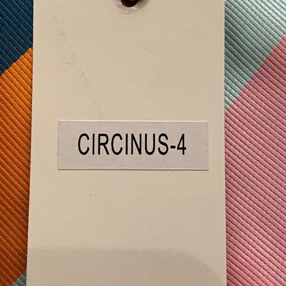 Ben Crump by Verce Multicolor men's tie - Picture 8 of 11